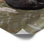 Zooka 2007 poster (Ecke)