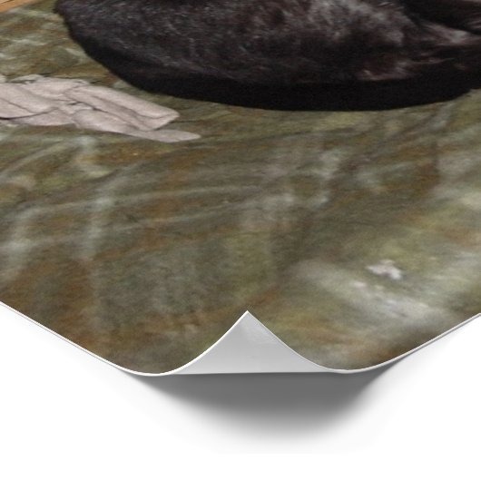 Zooka 2007 poster (Ecke)