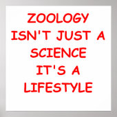 Zoologie Poster (Vorne)