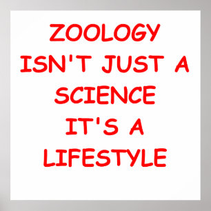 Zoologie Poster