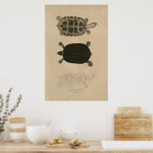 Zoologie von Indien 1932 Thuji Terrapin Poster (Küche)