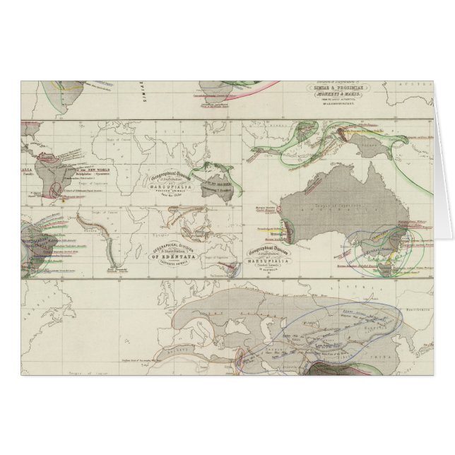 Zoologische Geografie (Vorderseite (Horizontal))