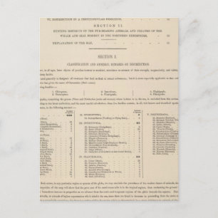 Zoologische Geografie Carnivora Postkarte