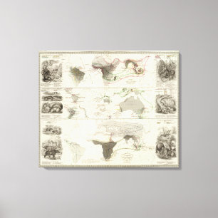 Zoologische Geografie Leinwanddruck