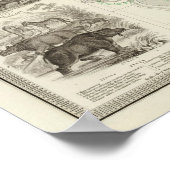 Zoologische Geografie Poster (Ecke)