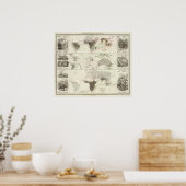 Zoologische Geografie Poster (Küche)