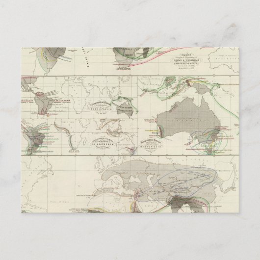 Zoologische Geografie Postkarte (Vorderseite)