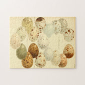 Zoologische Sketch Vintage Vogeleier Jigsaw Puzzle (Horizontal)