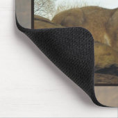 Zooluchs 2 mousepad (Ecke)