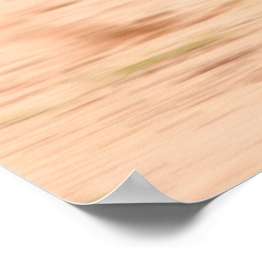 Zoom Kitty Poster (Ecke)