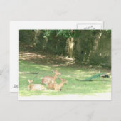 Zoombild Bronx Postkarte (Vorne/Hinten)