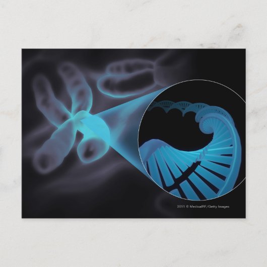 Zoomen eines DNA-Strangs in einem Chromosom Postkarte (Vorderseite)