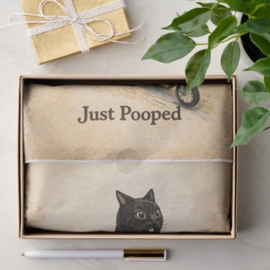 Zoomies Kitty Seidenpapier (Geschenk)