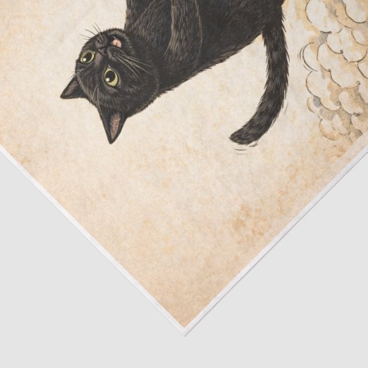 Zoomies Kitty  Seidenpapier (Ausschnitt)