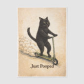 Zoomies Kitty  Seidenpapier (Vorderseite)