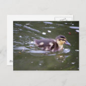 Zooming Postkarte (Vorne/Hinten)