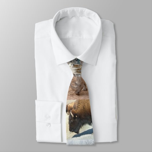 Zootier-Krawatte Krawatte (Gebunden)
