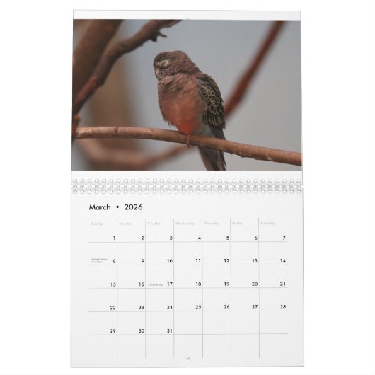 Zootiere Kalender (Mär 2026)