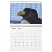 Zootiere Kalender (Jan 2026)