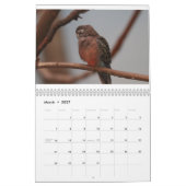 Zootiere Kalender (Mär 2027)