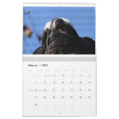 Zootiere Kalender (Feb 2027)