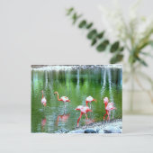 Zootiere Postkarte (Stehend Vorderseite)