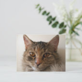 Zora Postkarte (Stehend Vorderseite)