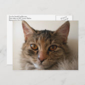 Zora Postkarte (Vorne/Hinten)