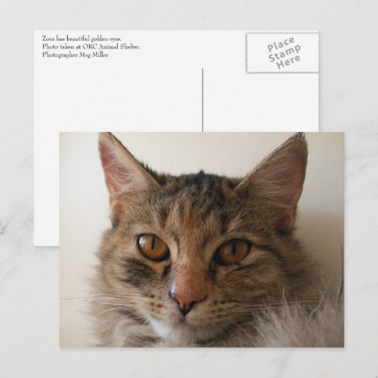 Zora Postkarte (Vorne/Hinten)