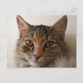 Zora Postkarte (Vorderseite)