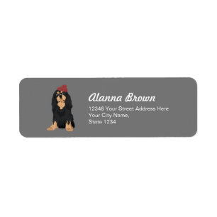 Zora The Black & Tan Cavalier King Charles Spaniel