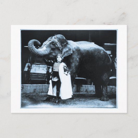 Zora und Trilby 1916 Postkarte (Vorderseite)