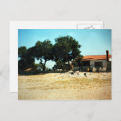 Zorba, die griechische Pause, Foto Colette Guggenh Postkarte (Vorne/Hinten)