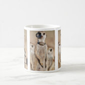 Zorilla meerkat Tasse (Mittel)