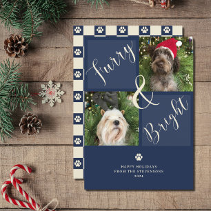 Zorn und Helle Navy Blue 2 Foto Hund Feiertagskarte