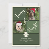 Zorn und hellgrüner Fotomaterial Feiertagskarte (Vorderseite)