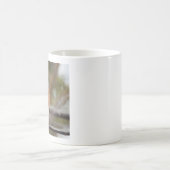 Zorniger Östlicher Blauvogel Kaffeetasse (Mittel)