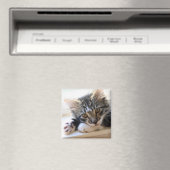 Zorro durch das Fenstermagazin Magnet (In Situ (Geschirrspüler))