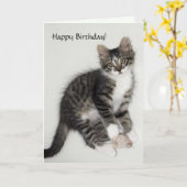 Zorro Happy Birthday Card Karte (Gelbe Blume)