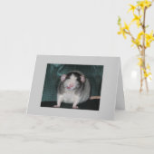 Zorro Karte (Gelbe Blume)