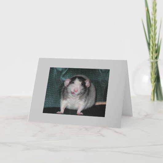 Zorro Karte (Vorderseite)