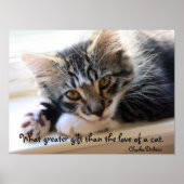 Zorro Kitten by Window Poster (Vorne)