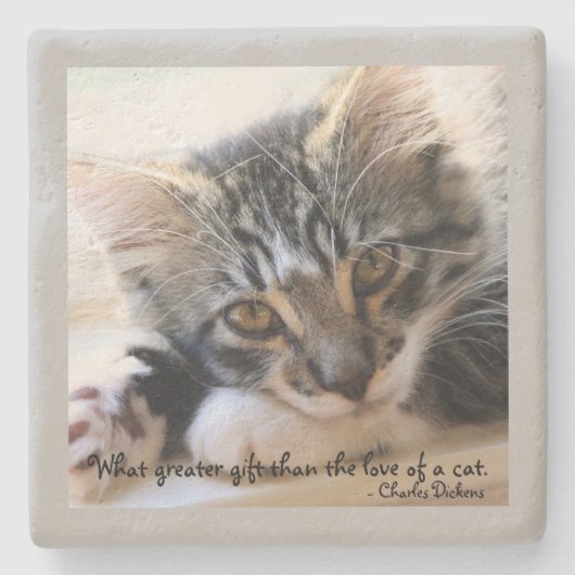 Zorro Kitten by Window Stone Gray Untersetzer (Vorderseite)