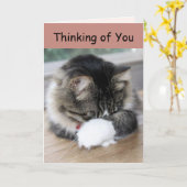 Zorro Kitty Denken Sie an Ihre Karte (Gelbe Blume)