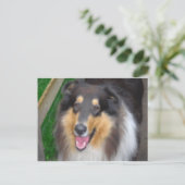 Zorro Postkarte (Stehend Vorderseite)