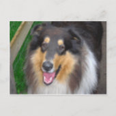 Zorro Postkarte (Vorderseite)