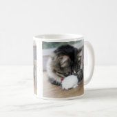 Zorro Shy Kitty Tasse (VorderseiteRechts)