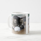 Zorro Shy Kitty Tasse (Vorderseite Links)