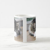 Zorro Shy Kitty Tasse (Mittel)