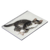 Zorro und sein Mouse-Notebook Notizblock (Linke Seite)